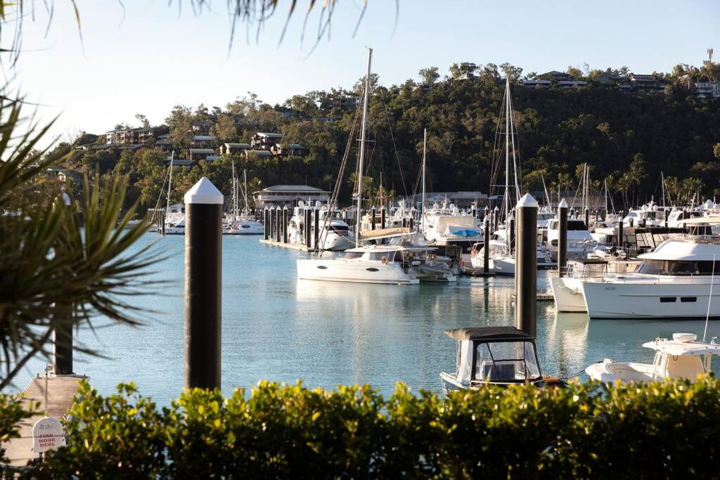 a bunch of boats docked in a harbor at Pavillions 17 Waterfront with Private Pool and Buggy in Hamilton Island
