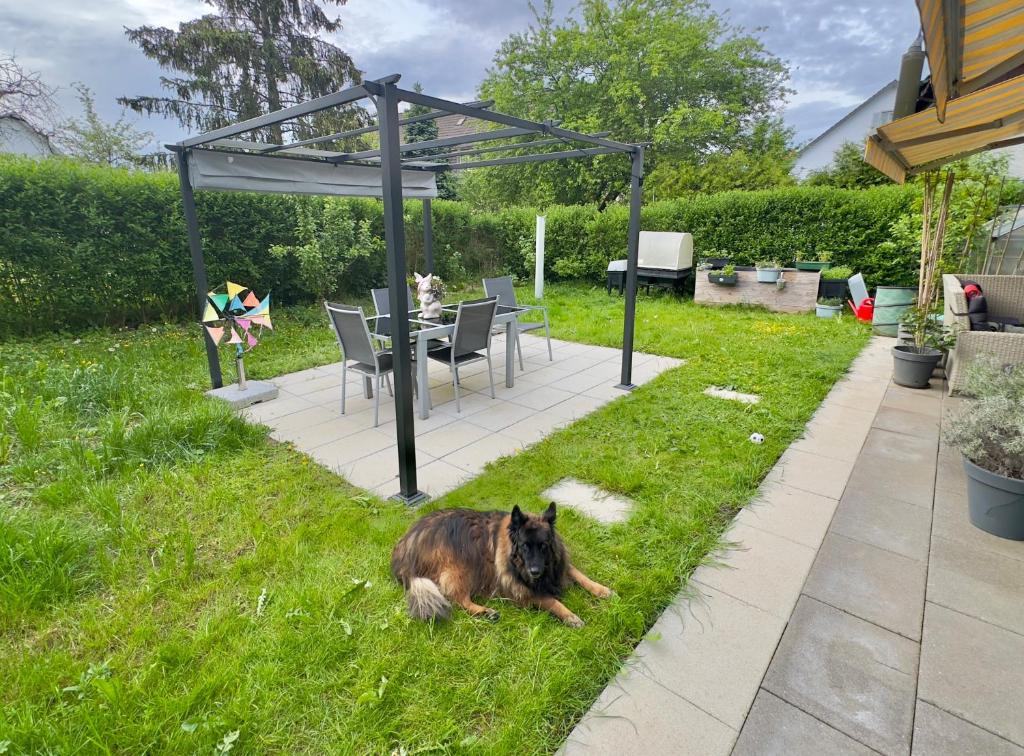 Zahrada ubytování Gemütliches 2 Zimmer Studio mit Gartensitzplatz