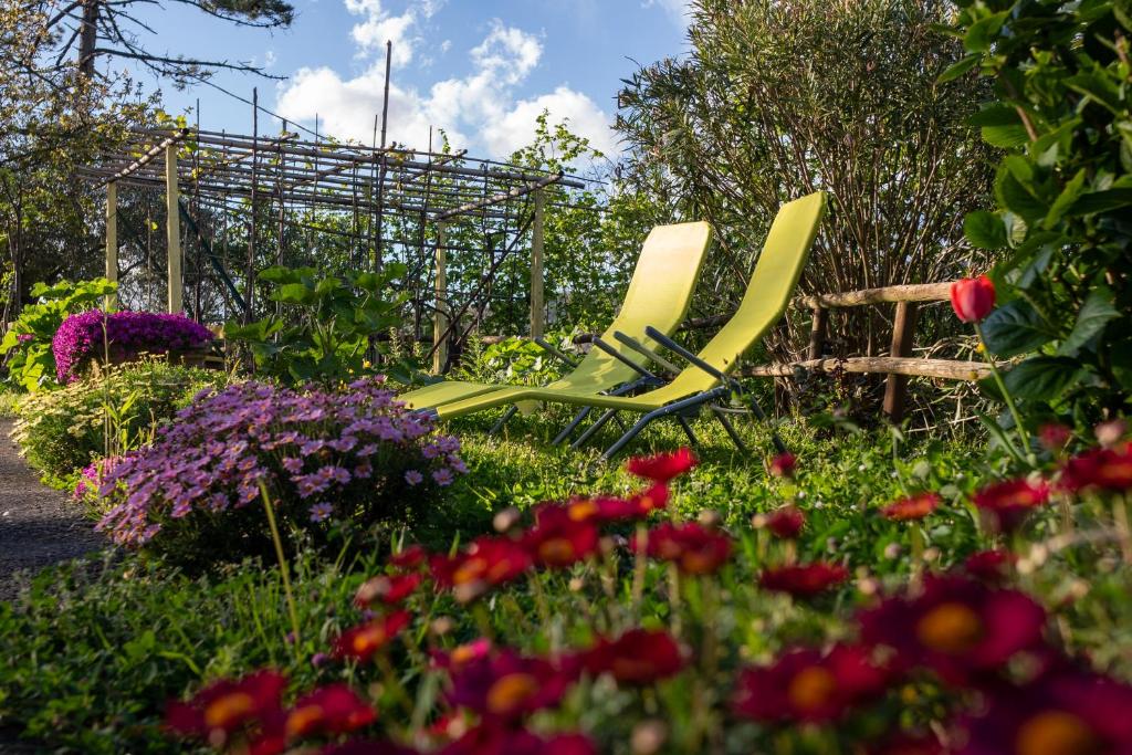 Zahrada ubytování Il Giardino dei Pavoni