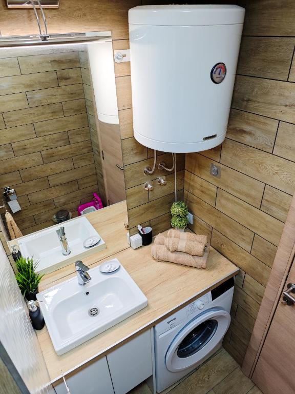 a bathroom with a sink and a washing machine at Apartman Julija in Donji Milanovac