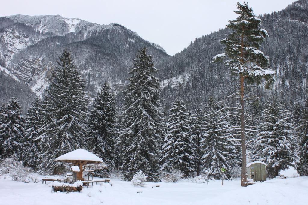 Apartment Zugspitz v zimě
