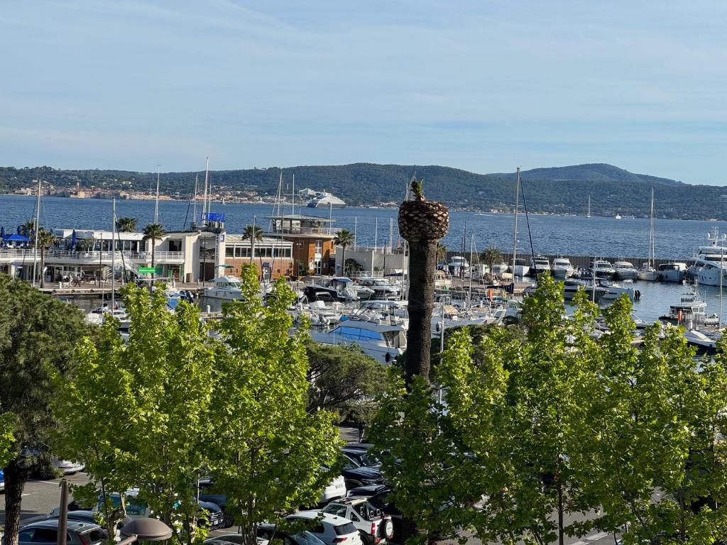 a marina with a bird perched on top of a tower at Maison de village rénovée avec vue mer exceptionnelle in Sainte-Maxime