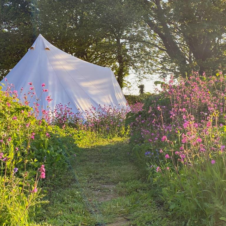 a white tent in a field of flowers at Foxglove Field Glamping in Perranuthnoe