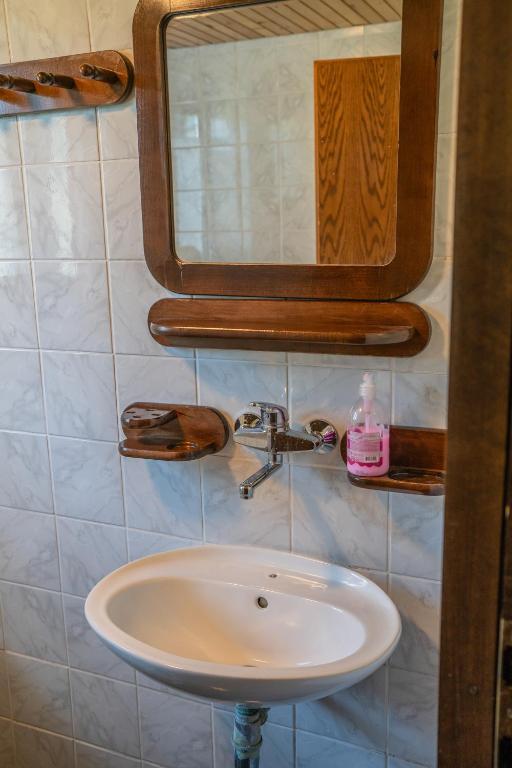 Koupelna v ubytování Hiška Gmajna