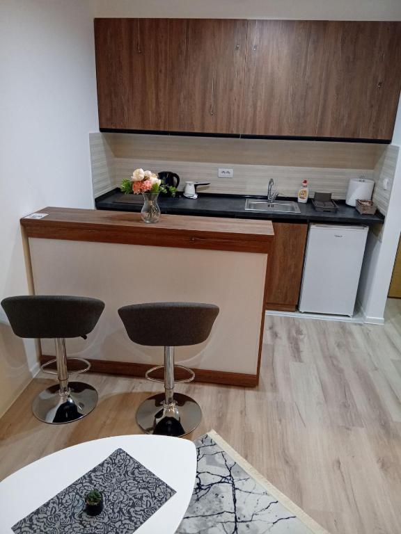 Kuchyň nebo kuchyňský kout v ubytování Aqua Apartments 2