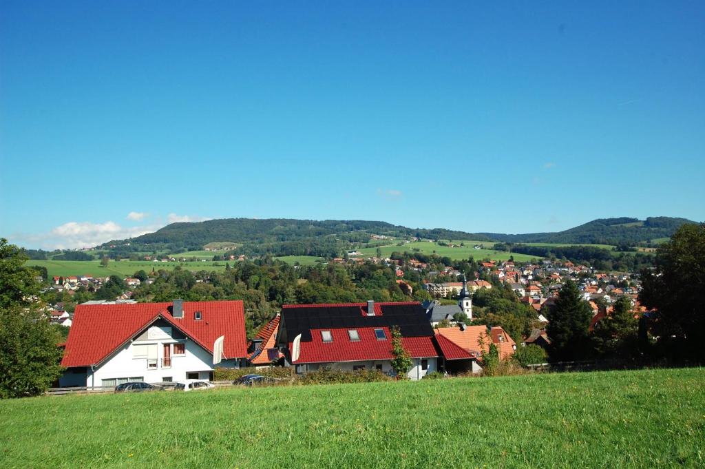 a village with red roofs on a green hill at Gästehaus Jäger Ferienwohnungen in Gersfeld