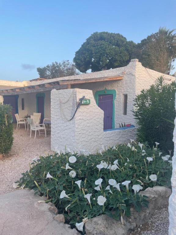 a house with a bunch of flowers in front of it at I Dammusi del Blu Green in Lampedusa