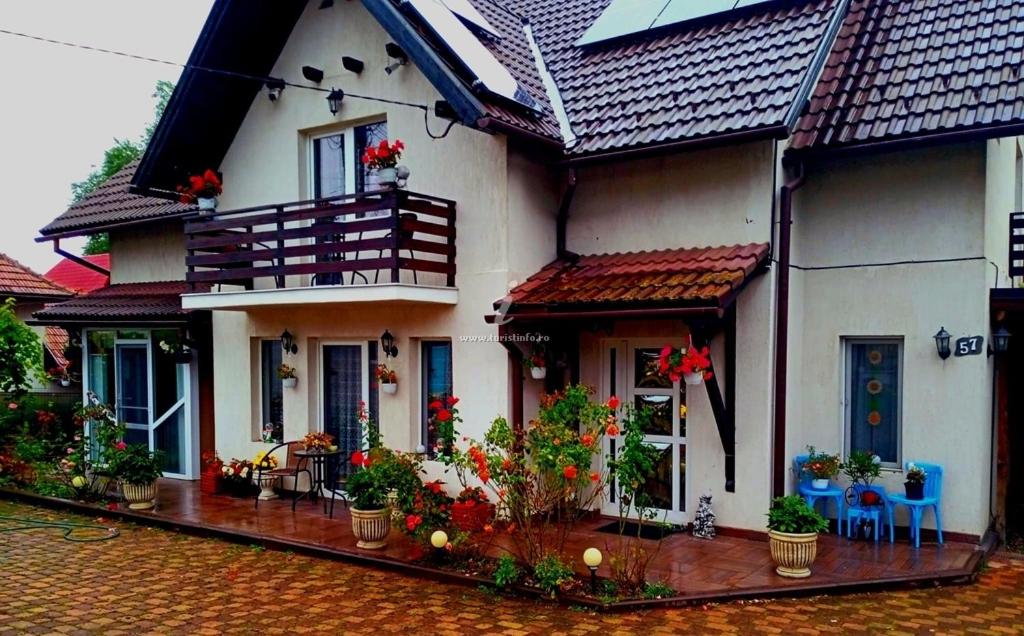 a white house with potted plants in front of it at Edelweiss Ilinca in Zărneşti