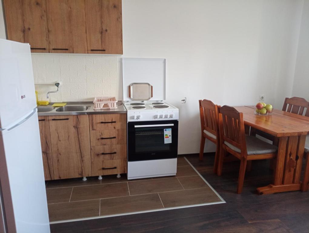 Kuchyň nebo kuchyňský kout v ubytování Apartman Aleksić Kuršumlija