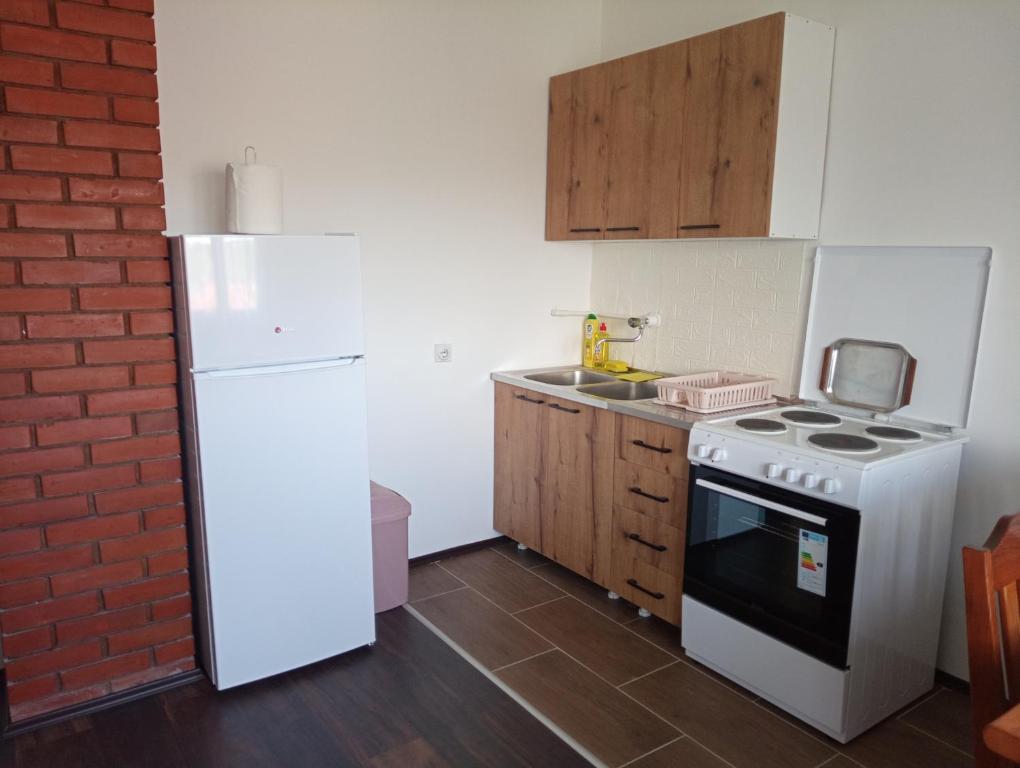 Kuchyň nebo kuchyňský kout v ubytování Apartman Aleksić Kuršumlija