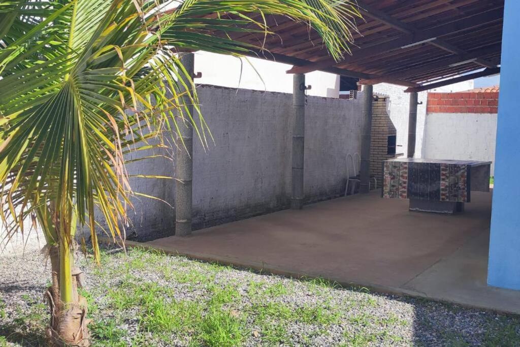 un patio con una pared de hormigón y una palmera en Hospedagem na Praia de Tibau - RN, en Tibau do Sul