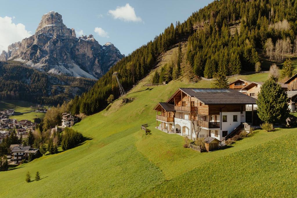 Příroda nedaleko apartmánu