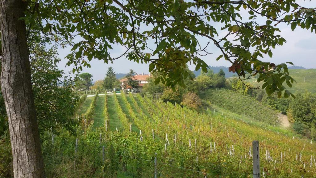 Cascina Torello