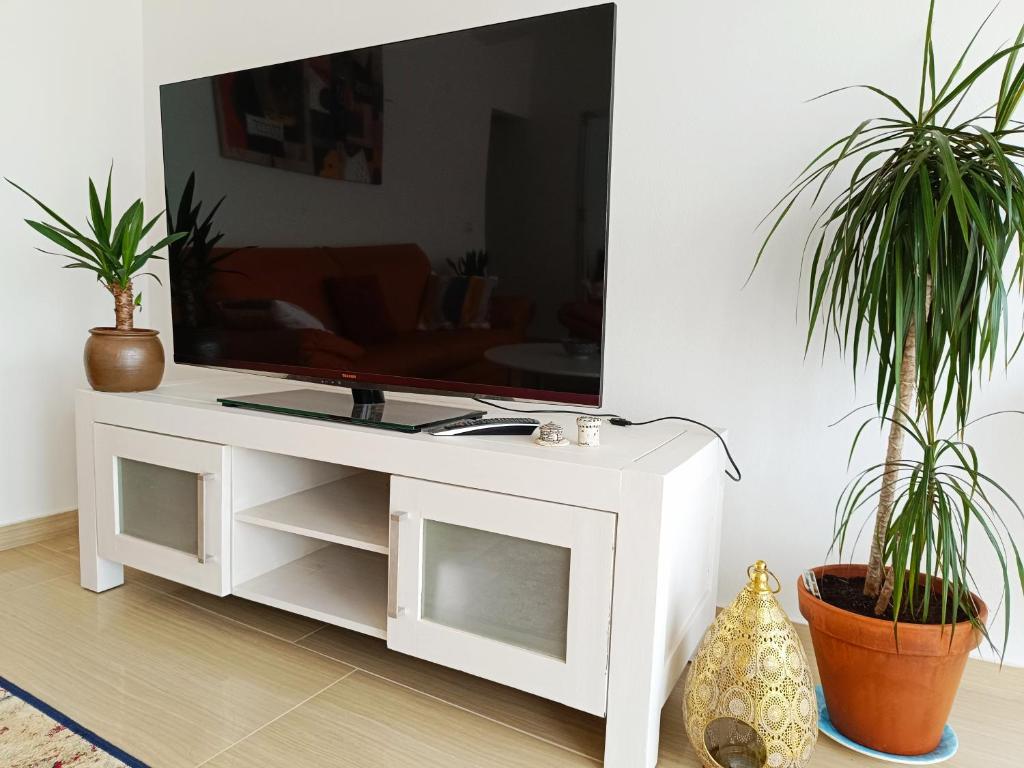 TV a/nebo společenská místnost v ubytování LUNA