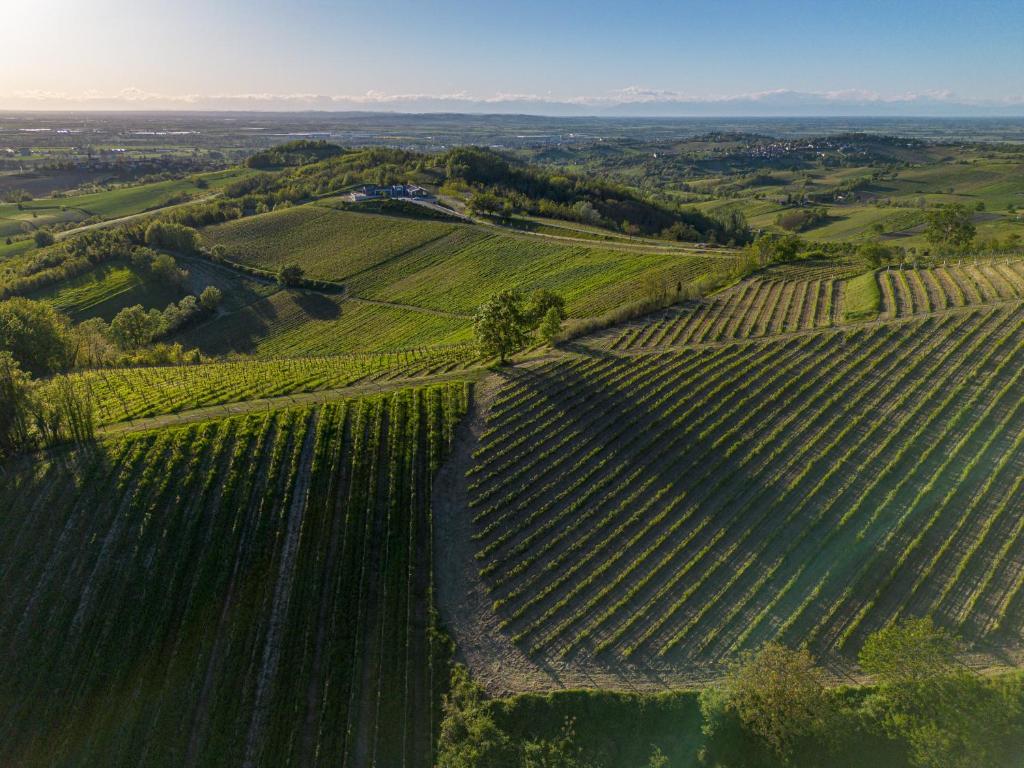 an aerial view of a vineyard in the napa hills at ORIZZONTI Vigneti Repetto in Sarezzano