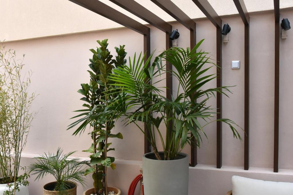 Casa Enetiko - Resim 21