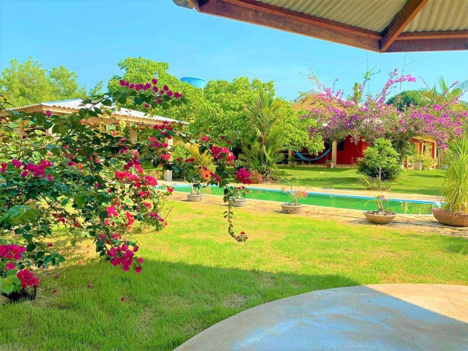 einen Garten mit rosa Blumen und einem Pool in der Unterkunft Chácara Manjedoura in Ji-Paraná
