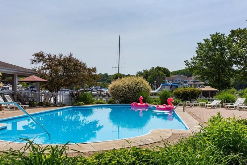 Una piscina con inflables rosas en un patio. en SoHa Escape - Indoor pool, hot tub, en South Haven
