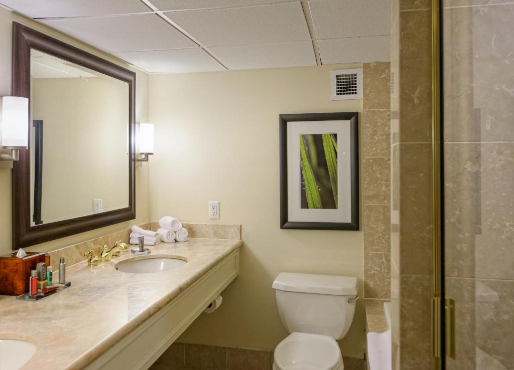 Houston Marriott West Loop by The Galleria - Habitación De Invitados Con Dos Camas Dobles