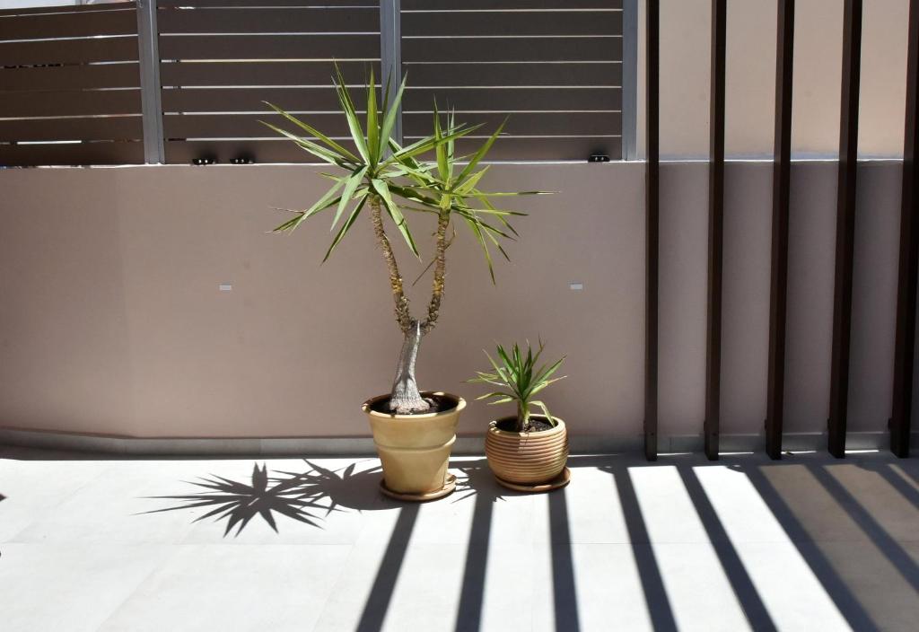 Fotografie z fotogalerie ubytování Casa Enetiko ve městě Chania