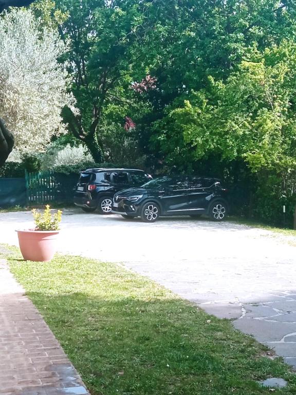Zahrada ubytování All'Ombra di San Damiano
