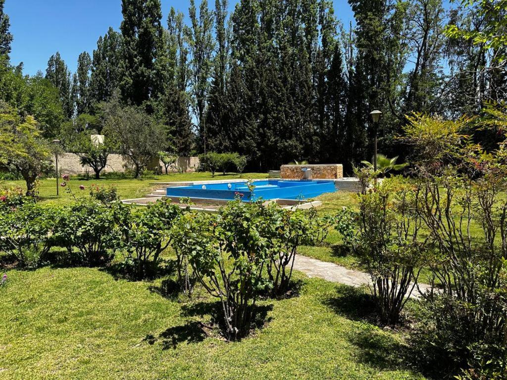two swimming pools in a garden with trees and grass at Cervantes - Casa de huespedes - Chacras de Coria in Ciudad Lujan de Cuyo