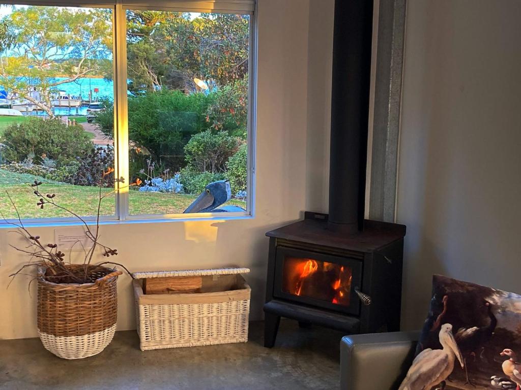 a blue bird sitting in a living room with a fireplace at Pelican Cottage - Pet Friendly - Wifi in Goolwa North