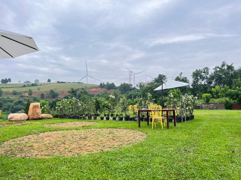 Vườn quanh Homestay Bảo Nguyên Xanh