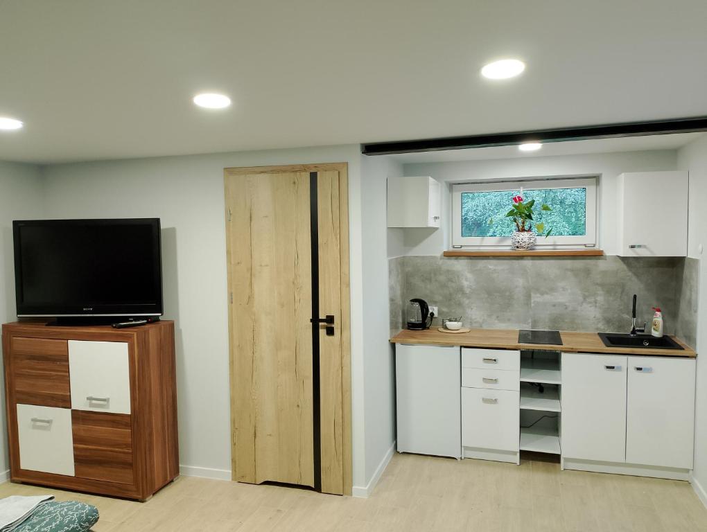 een keuken met witte kasten, een televisie en een raam bij Apartament z ogrodem I in Przemyśl