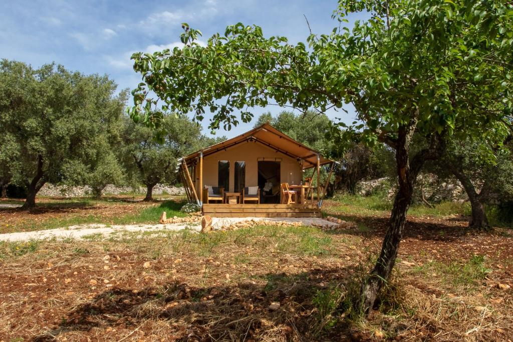 Zahrada ubytování Domus Olea Glamping