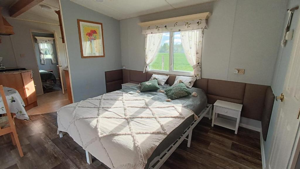 - une chambre avec un lit dans une pièce dotée d'une fenêtre dans l'établissement Ranczo Tomaszówka Domek w Polu, 