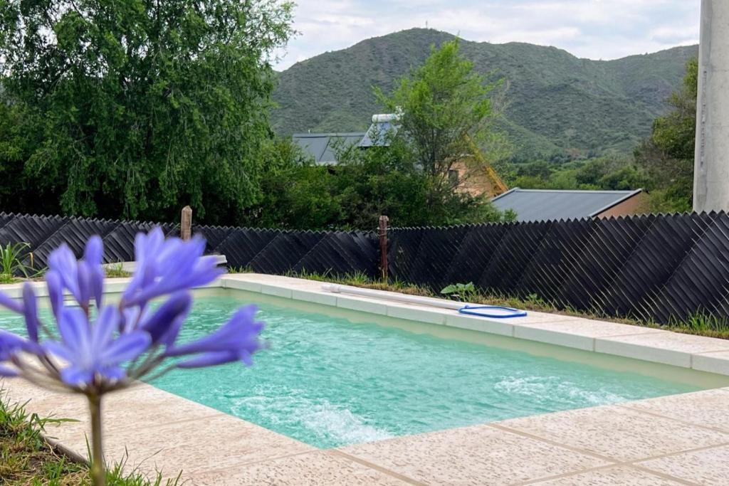 una flor púrpura frente a una piscina en La Calma en Villa General Belgrano