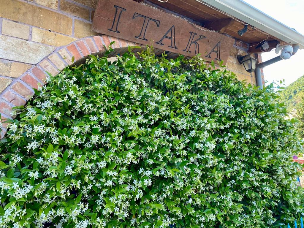 Jardí fora de Itaka Hotel Lukova