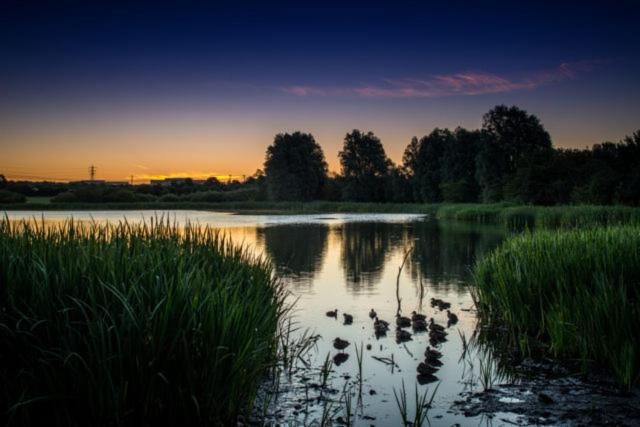 un groupe de canards nageant dans un lac au coucher du soleil dans l'établissement North East Viewpoint, à Holystone