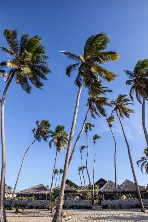 a group of palm trees on the beach at Go Eco Paradise Ap210 Pé na Areia e Piscina no Centro do Cumbuco in Caucaia