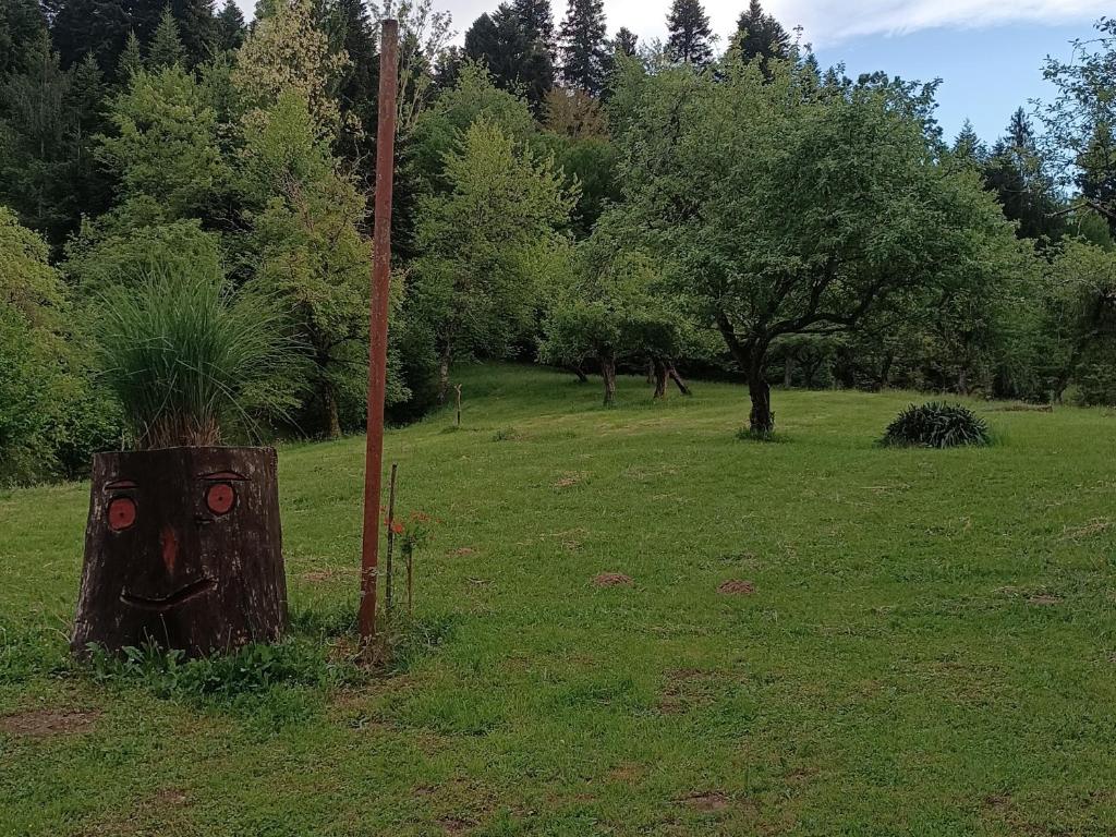 Zahrada ubytování Holiday Home Colnar