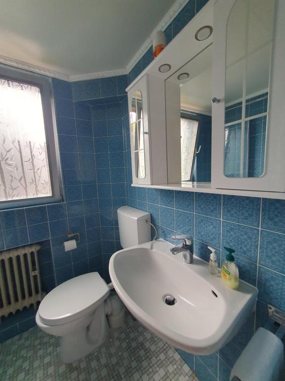 Schönes, vollmöbliertes Zimmer direkt an der Uniklinik Mainz