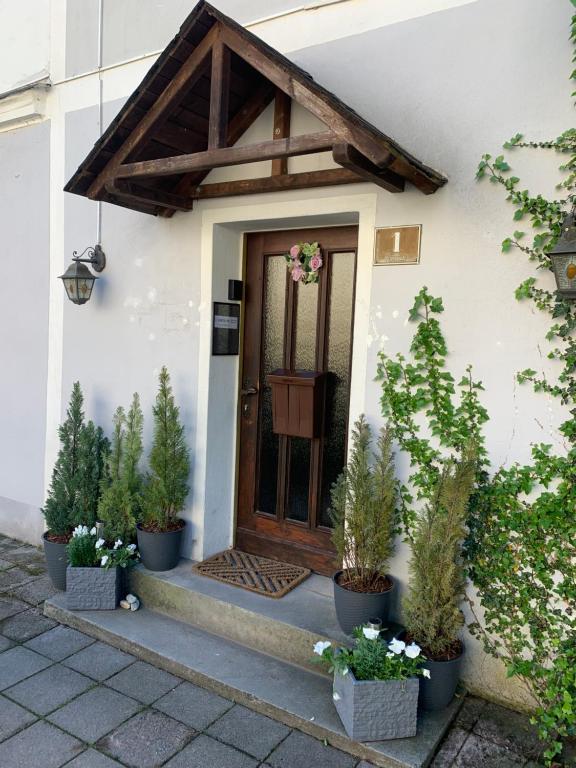 a front door of a house with potted plants at Penzion Sport in Gaming