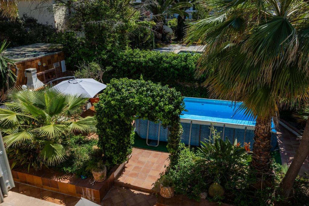 Bazén v ubytování Villa Pedro strandnah ruhig zentral nebo v jeho okolí
