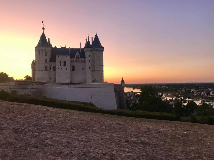 un château au sommet d'une colline au coucher du soleil dans l'établissement Appartement cosy hypercentre, à Saumur