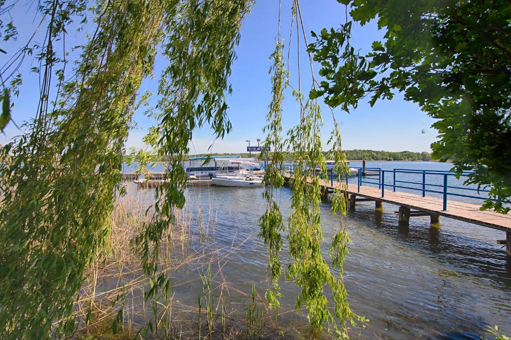 See Hotel Karlslust Chalets - Double Room With Terrace