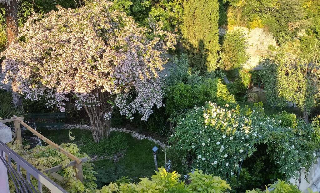 Κήπος έξω από το La casa di Paola