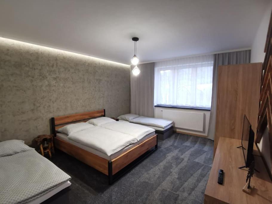 um quarto com duas camas e uma televisão em Apartmán Bílá Voda em Cervena Voda