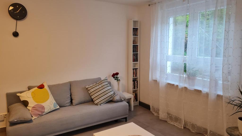 ein Wohnzimmer mit einem Sofa und einem Fenster in der Unterkunft Ferienwohnung Jungpfalzstieg in Rinnthal