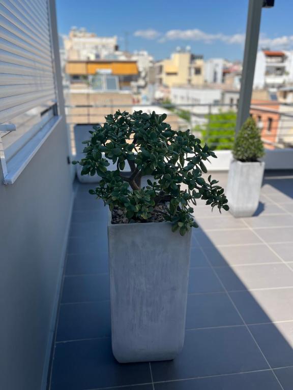 Balkón nebo terasa v ubytování Piraeus Relax