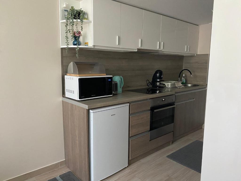 Kuchyň nebo kuchyňský kout v ubytování Anna Apartman
