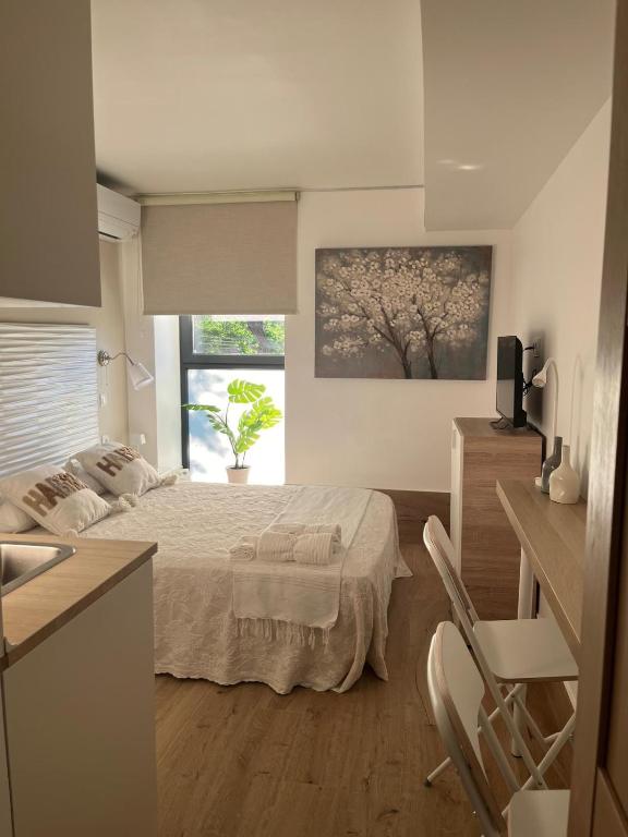 GARDEN HOUSE Madrid - 1