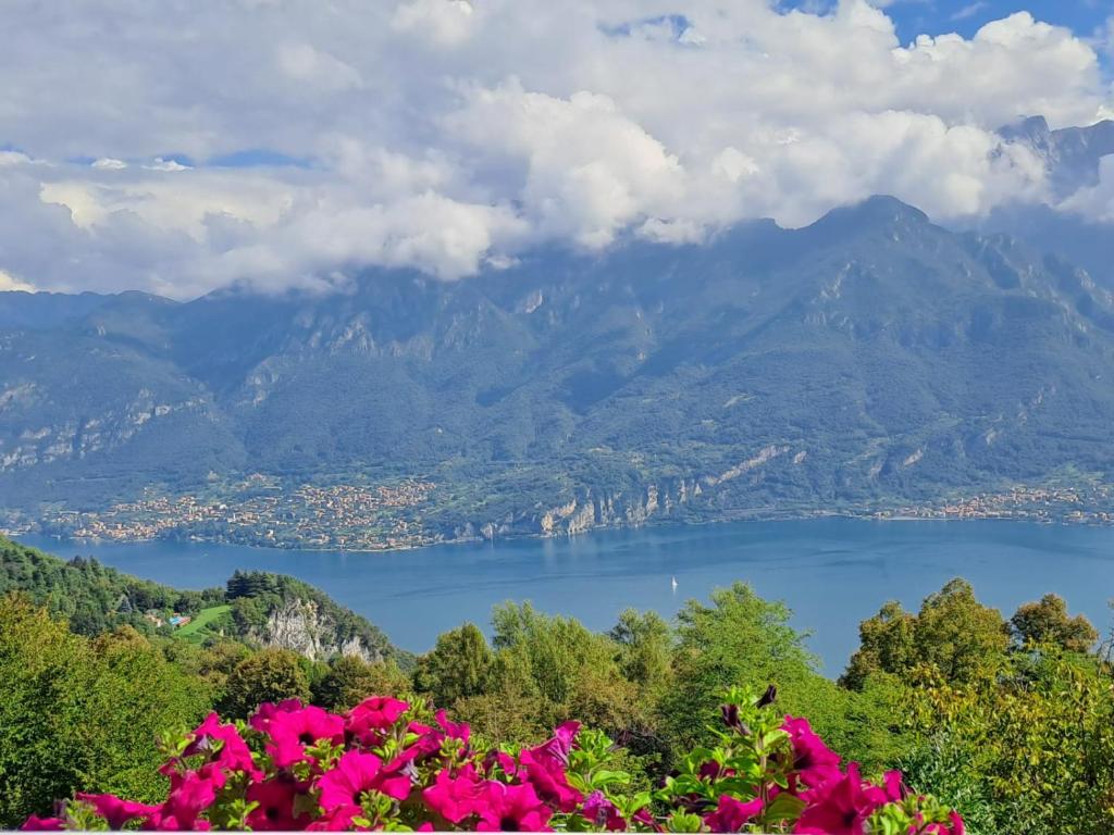 vistas al lago y a las montañas con flores rosas en Bed & Breakfast Bellagio, en Bellagio