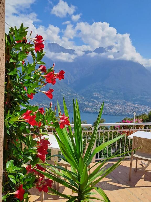 a view from a balcony with red flowers at Bed & Breakfast Bellagio in Bellagio