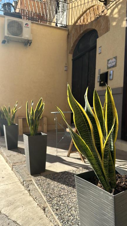 a row of potted plants sitting outside of a building at Case Vanella Grande aspra bagheria in Bagheria